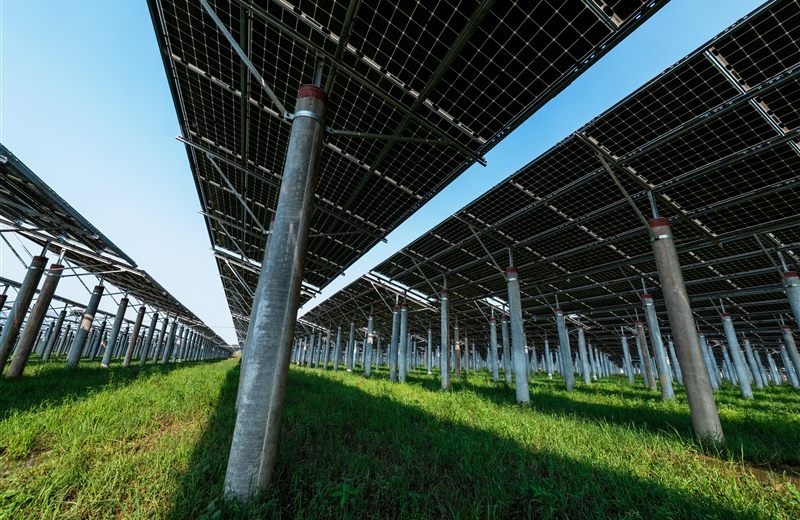 El riego solar revoluciona la agricultura andaluza